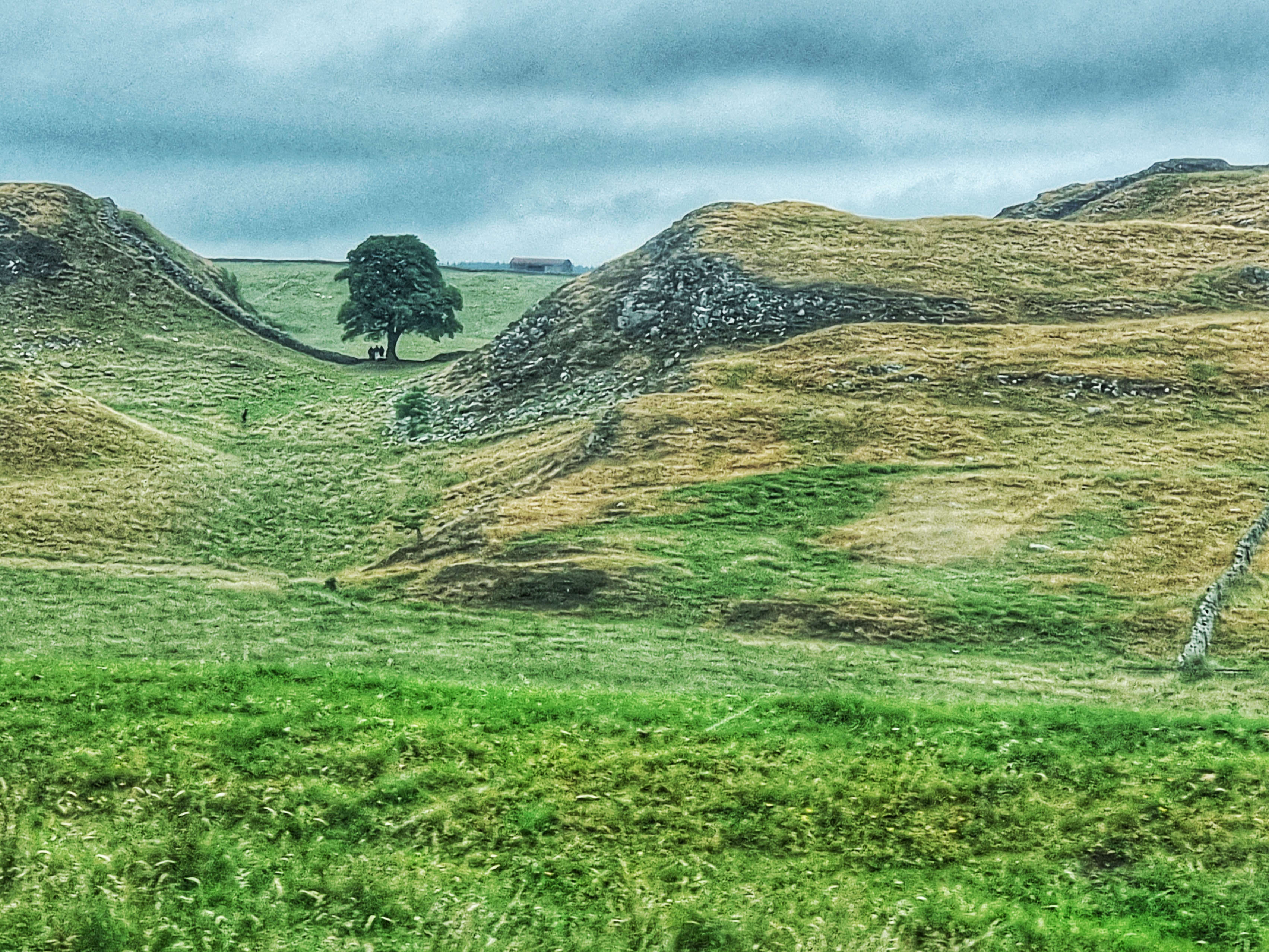 The Sycamore Gap - Hadrians Wall